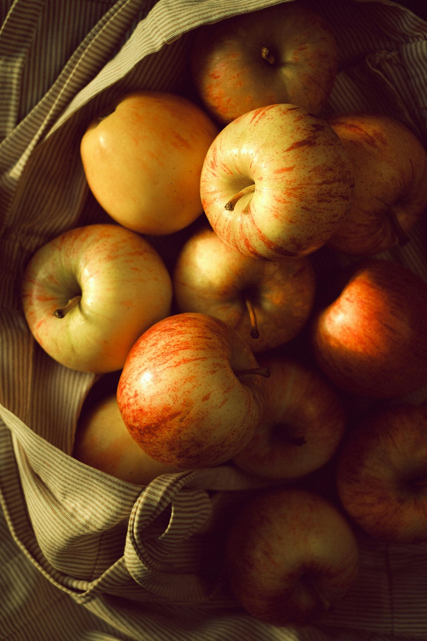 Dinas Kesehatan Kota Tomohon: Memfasilitasi Penerbitan BPJS untuk Semua